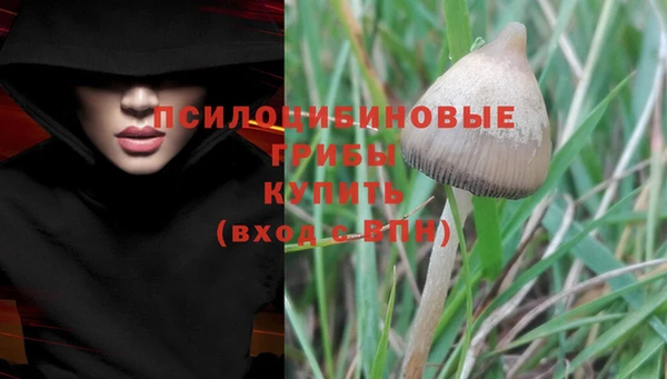 mdpv Абаза