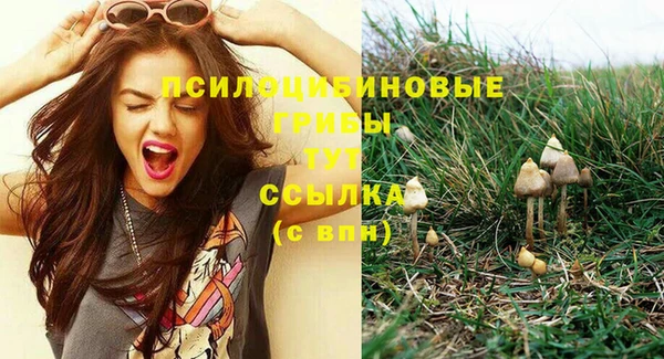 кокаин премиум Алзамай
