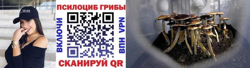 shop телеграм  Зеленокумск  Псилоцибиновые грибы мухоморы  blacksprut маркетплейс 