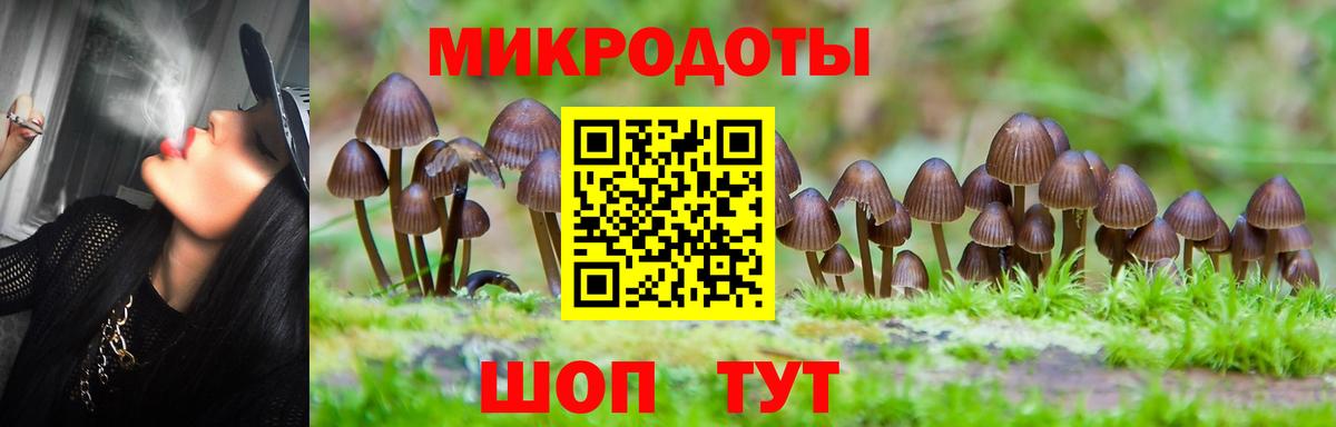 Псилоцибиновые грибы GOLDEN TEACHER Зеленокумск